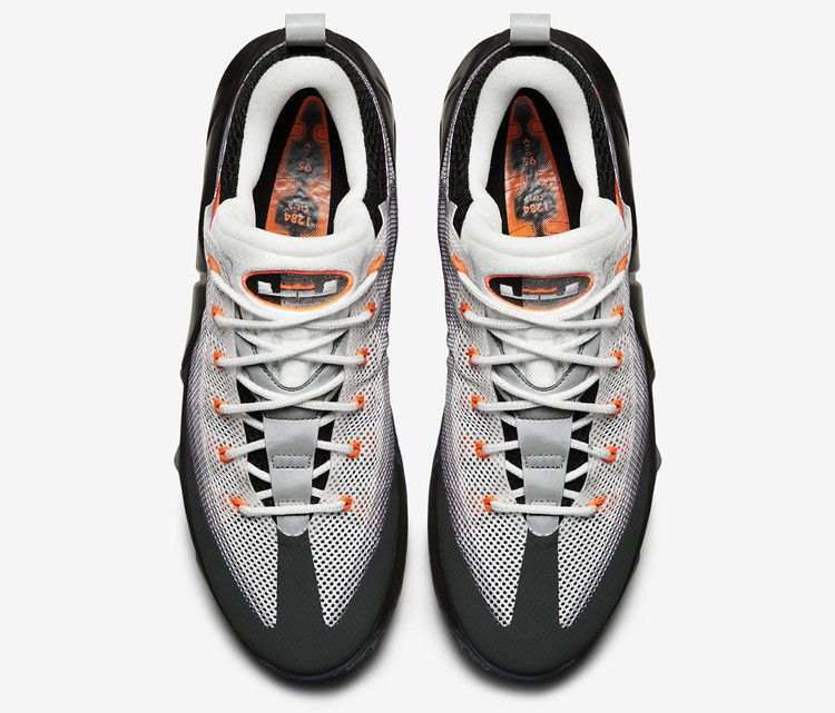 Nike Air Max 95 LeBron 12 Low